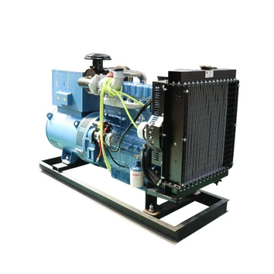 Generatore diesel di tipo aperto Potenza del generatore diesel